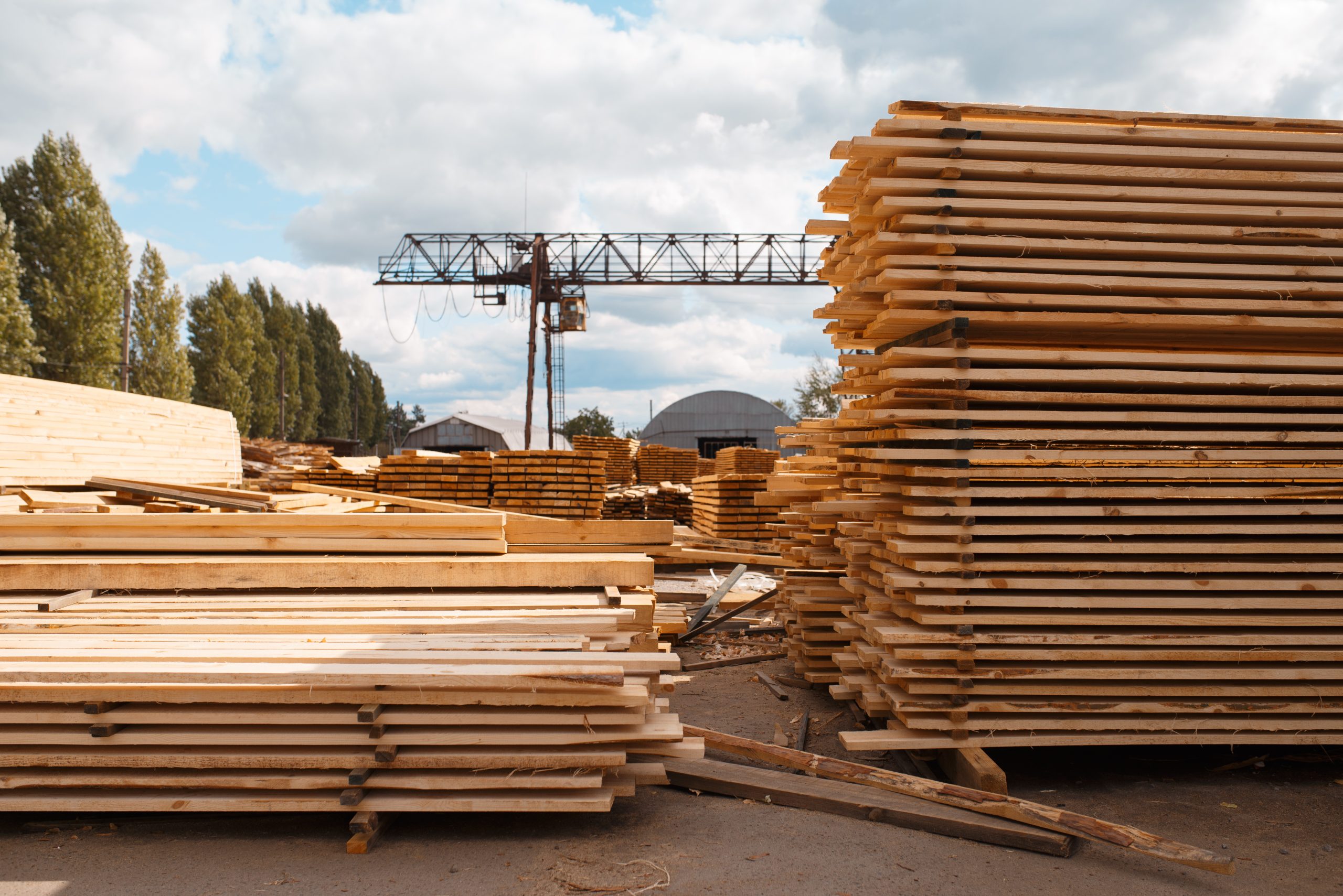 Stacks of boards on timber mill warehouse for timber grading