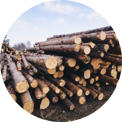 hardwood timber supplies Brisbane - wooden logs Sunshine Coast
