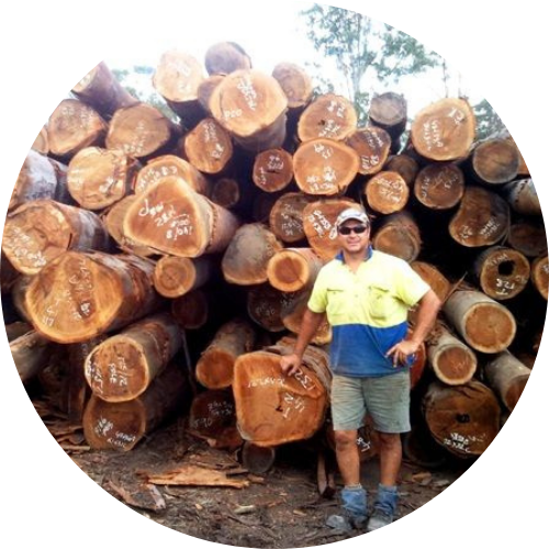 Hardwood timber sunshine coast - Cut wood